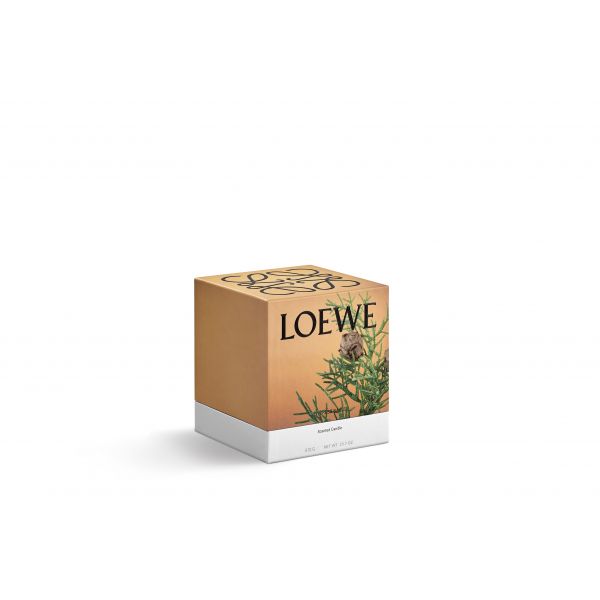 LOEWE  | Loewe | Cypress Balls | Geurkaars | M