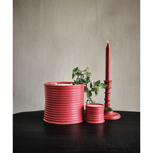 LOEWE  | Loewe | Tomato Leaves | Wax Candle holder | Geurkaars 