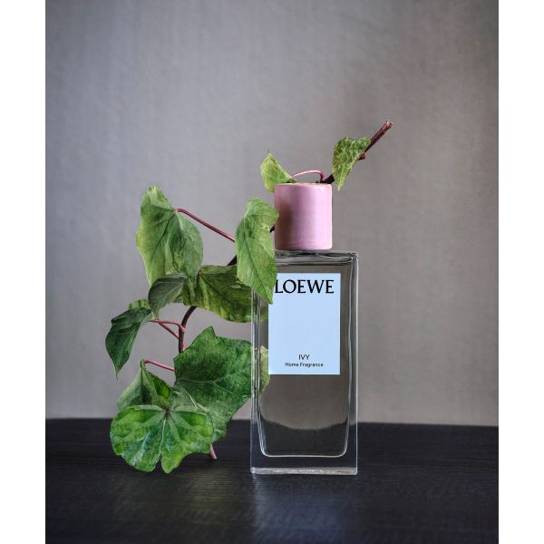 LOEWE | Loewe | Ivy | Huisparfum