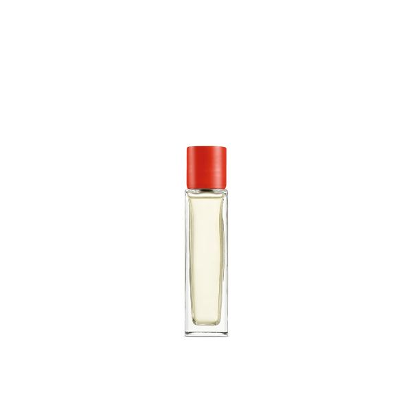 LOEWE  | Loewe | Tomato Leaves | Huisparfum