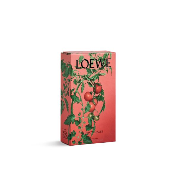 LOEWE  | Loewe | Tomato Leaves | Huisparfum