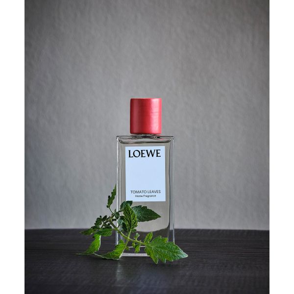 LOEWE  | Loewe | Tomato Leaves | Huisparfum