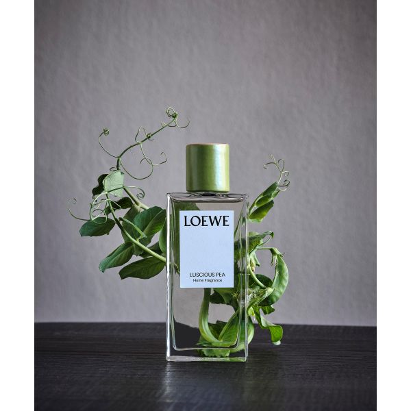 LOEWE | Loewe | Luscious Pea | Huisparfum