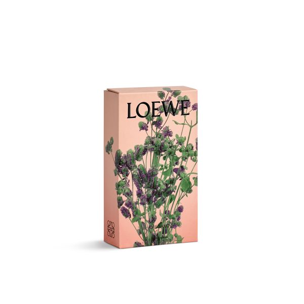 LOEWE | Loewe | Oregano | Huisparfum