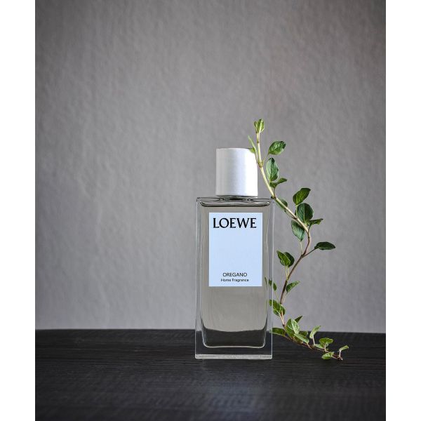 LOEWE | Loewe | Oregano | Huisparfum