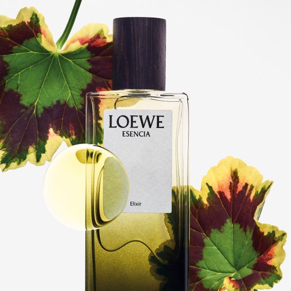 LOEWE PERFUMES | Loewe Perfumes | Elixir | Esencia |  Eau de Parfum