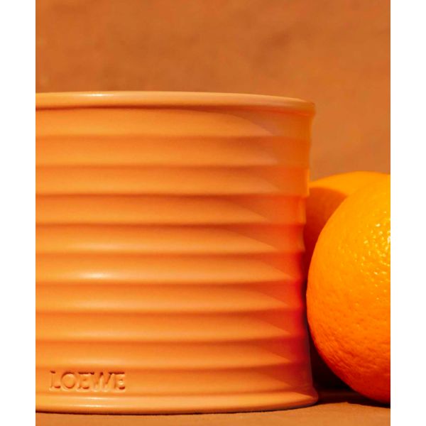 LOEWE | Loewe | Orange Blossom | Geurkaars | M