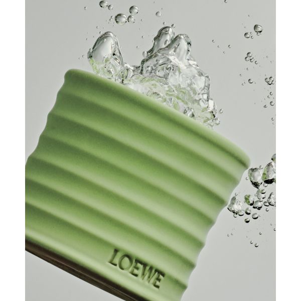 LOEWE | Loewe | Cucumber | Geurkaars | L