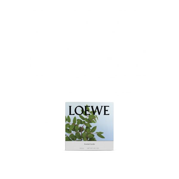 LOEWE | Loewe | Incense | Geurkaars | M