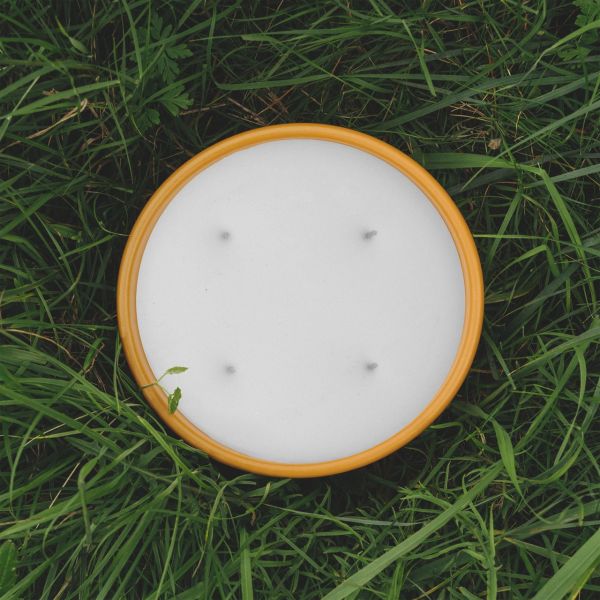 LOEWE | Loewe | Ginger | Outdoor Candle