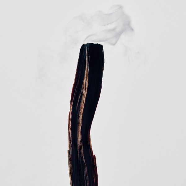 LOEWE | Loewe | Palo Santo | Geurkaars | M