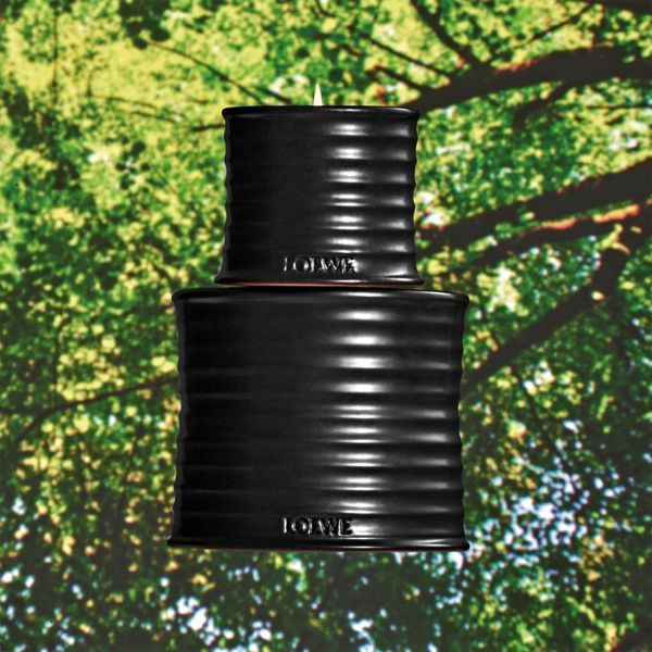 LOEWE | Loewe | Palo Santo | Geurkaars | M