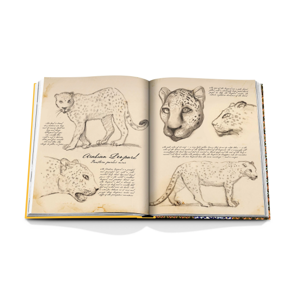 ASSOULINE | Assouline | koffietafelboek | Arabian Leopard