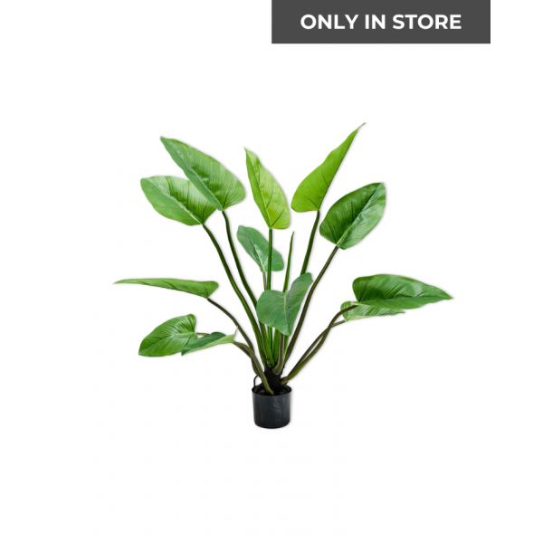 SILK-KA | Silk-ka | Plant Alocasia Groen | 122 cm | Only in Store!
