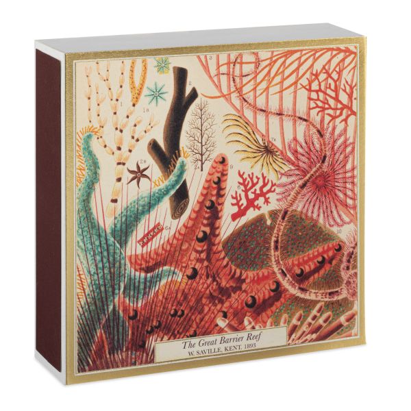 ARCHIVIST | Archivist | Lucifers | Great Barrier Reef