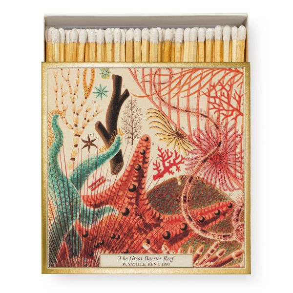 ARCHIVIST | Archivist | Lucifers | Great Barrier Reef