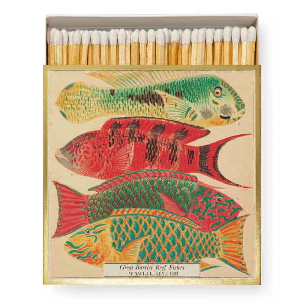ARCHIVIST | Archivist | Lucifers | Natural History Museum Fish