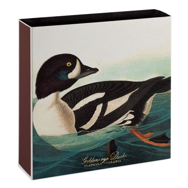 ARCHIVIST | Archivist | Lucifers | The Golden-eye Duck
