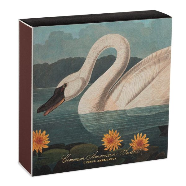 ARCHIVIST | Archivist | Lucifers | American Swan