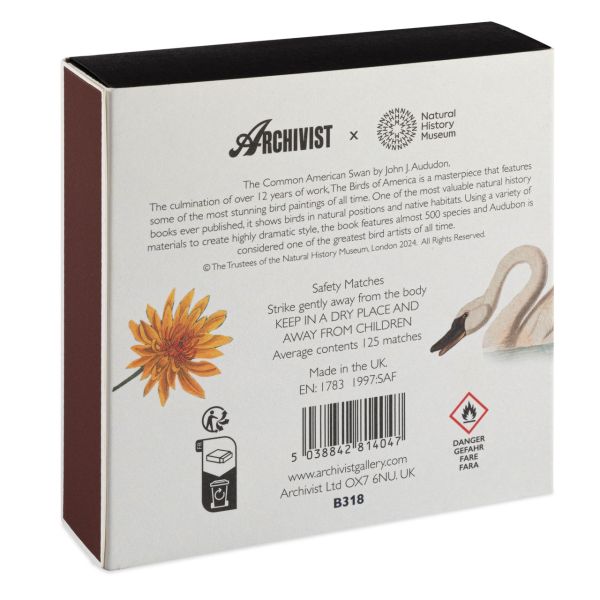 ARCHIVIST | Archivist | Lucifers | American Swan
