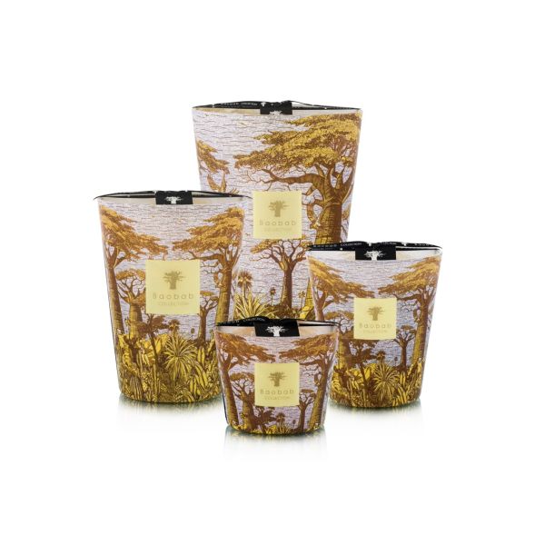 BAOBAB COLLECTION | Baobab Collection | Sacred Trees | Cocody | Geurkaars 