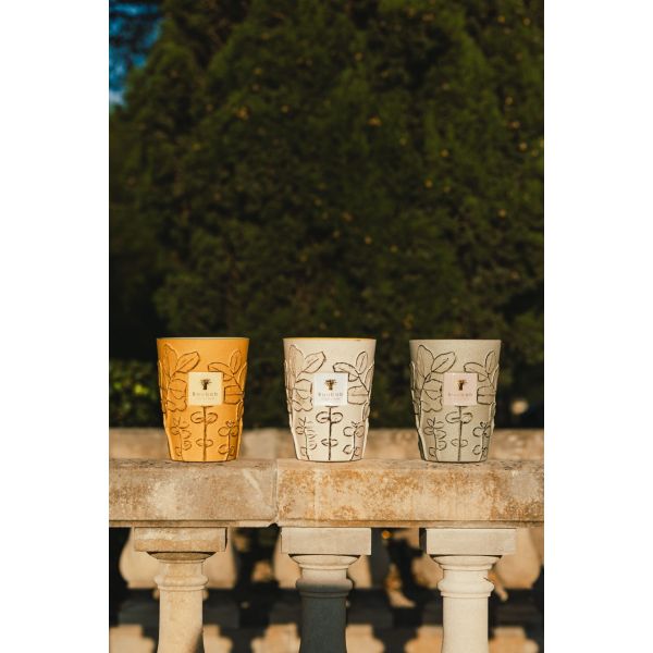 BAOBAB COLLECTION | Baobab Collection | Folia | Calanque | Geurkaars