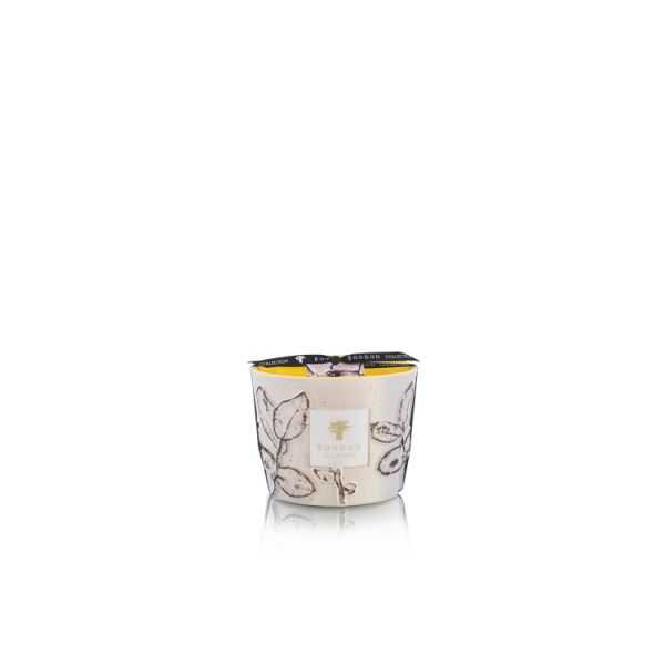 BAOBAB COLLECTION | Baobab Collection | Folia | Calanque | Geurkaars