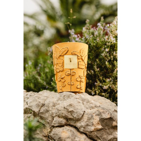 BAOBAB COLLECTION | Baobab Collection | Folia | Garrigue | Geurkaars