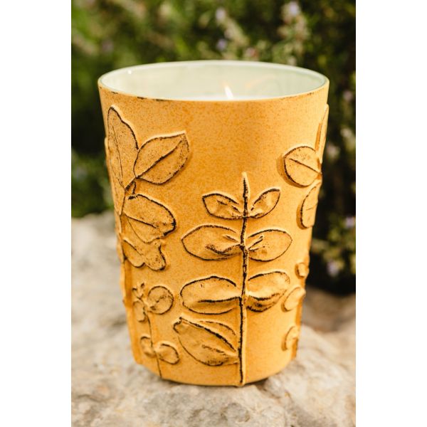 BAOBAB COLLECTION | Baobab Collection | Folia | Garrigue | Geurkaars