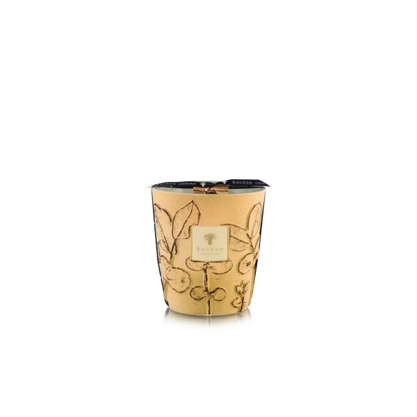 BAOBAB COLLECTION | Baobab Collection | Folia | Garrigue | Geurkaars