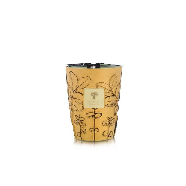 BAOBAB COLLECTION | Baobab Collection | Folia | Garrigue | Geurkaars