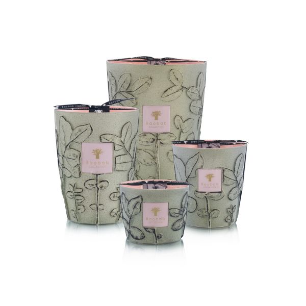 BAOBAB COLLECTION | Baobab Collection | Folia | Maquis | Geurkaars