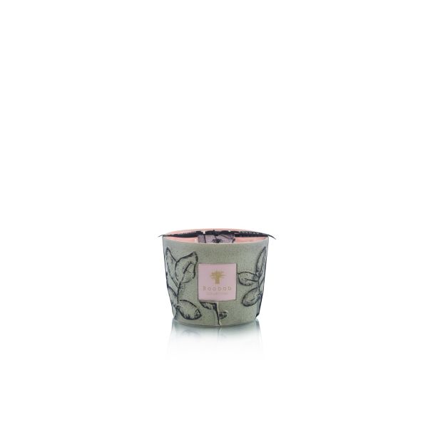 BAOBAB COLLECTION | Baobab Collection | Folia | Maquis | Geurkaars