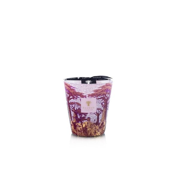 BAOBAB COLLECTION | Baobab Collection | Sacred Trees | Massasso | Geurkaars