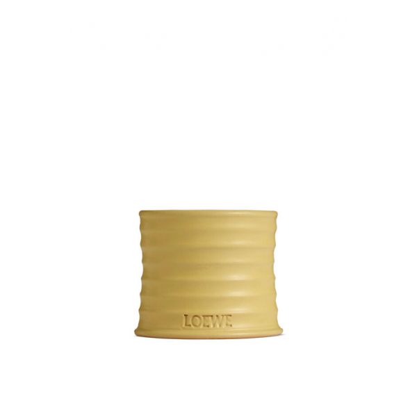 LOEWE | Loewe | Honeysuckle | Geurkaars | S