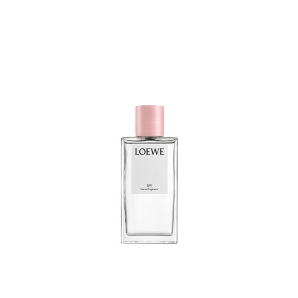 LOEWE | Loewe | Ivy | Huisparfum