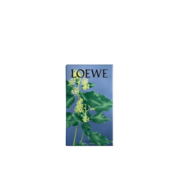 LOEWE | Loewe | Ivy | Huisparfum