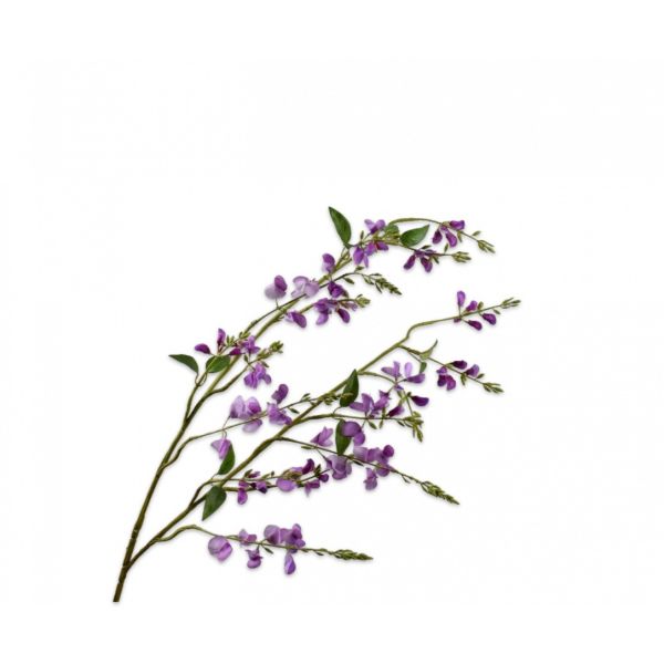 SILK-KA | Silk-ka | Lathyrus Tak Lila | 123cm
