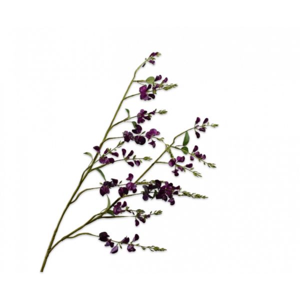 SILK-KA | Silk-ka | Lathyrus Tak Paars/Donkerrood | 123cm
