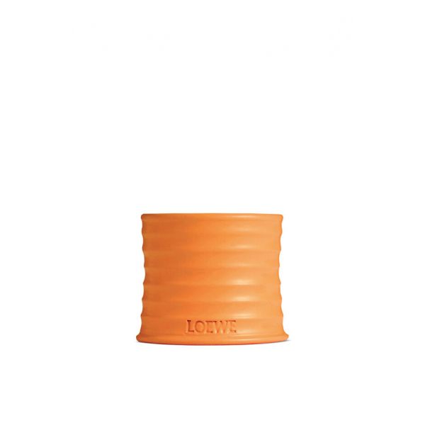 LOEWE | Loewe | Orange Blossom | Geurkaars | S