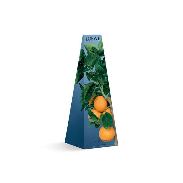 LOEWE  | Loewe |Orange Blossom | Wax Candle holder | Geurkaars 