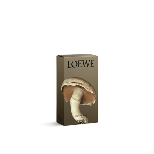 LOEWE | Loewe | Mushroom | Huisparfum