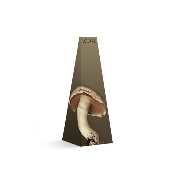 LOEWE | Loewe | Mushroom | Wax Candle Holder | Geurkaars