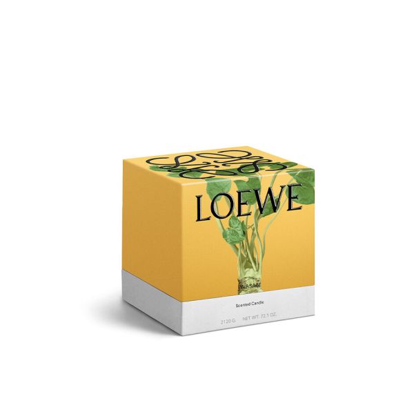 LOEWE | Loewe | Wasabi | Geurkaars | L