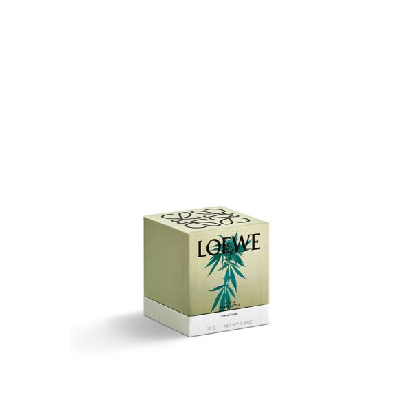 LOEWE  | Loewe | Marihuana | Geurkaars | S