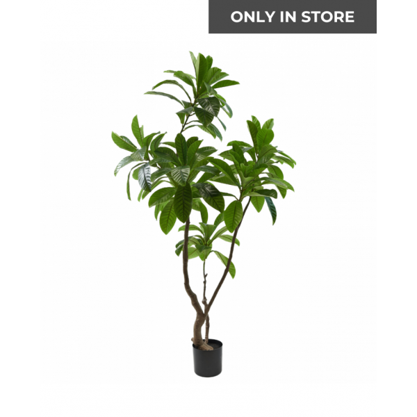 SILK-KA | Silk-ka | Plant Magnolia Groen | 194 cm