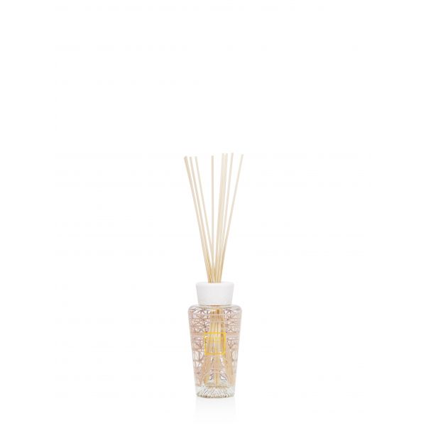 BAOBAB COLLECTION | Baobab Collection | My First Baobab | Paris | Gift Box 