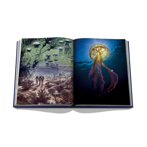 ASSOULINE | Assouline | Koffietafelboek | Ocean Wanderlust