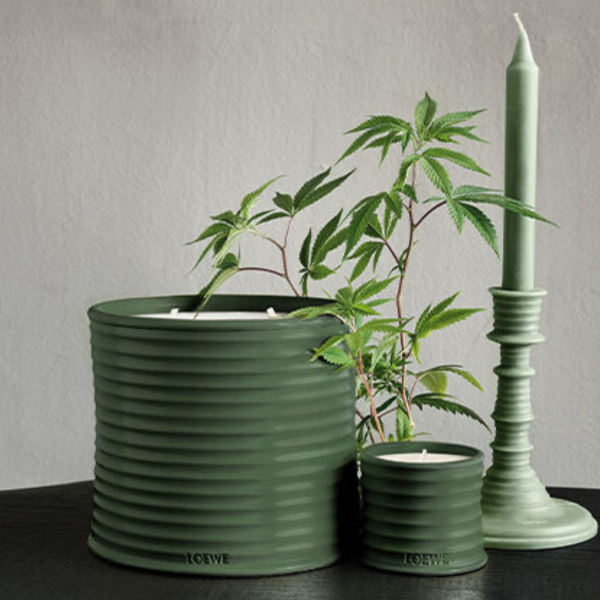 LOEWE  | Loewe | Marihuana | Wax Candle holder | Geurkaars 