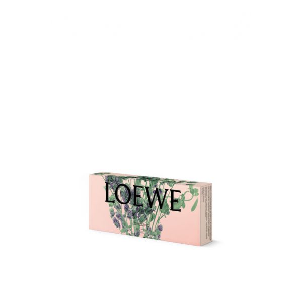 LOEWE  | Loewe | Oregano | Zeep 